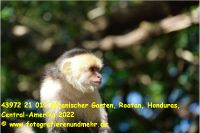 43972 21 011 Botanischer Garten, Roatan, Honduras, Central-Amerika 2022.jpg